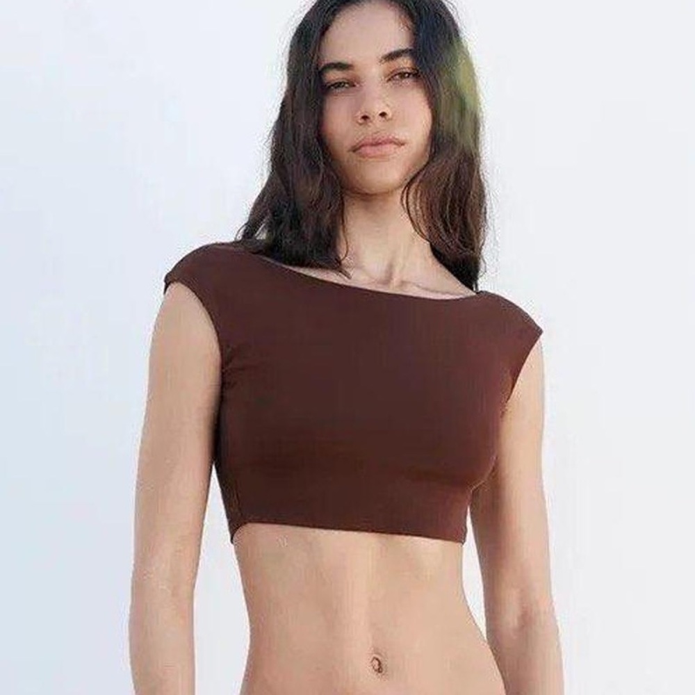 Zara Brown Crop Boatneck Top